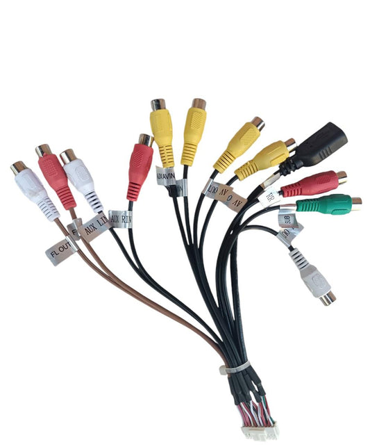 20 PIN konektor pro autorádia, 11 RCA+USB