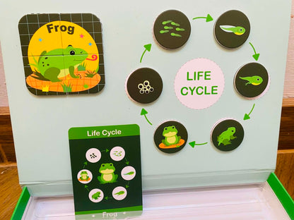 Magnetická vzdělávací skládačka pro děti 3–8 let – životní cyklus rostlin a zvířat