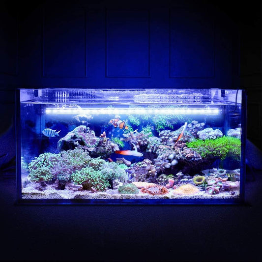 Akvarijní LED osvětlení 28 cm – ponorné